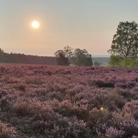 Hotel Residenzia Grenadier 3*